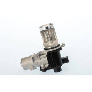 BorgWarner (Wahler) AGR-Ventil 710571D/1 BorgWarner (Wahler) AGR-Ventil 710571D/1