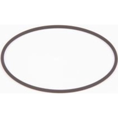 O-Ring Diverse F 01M 100 371