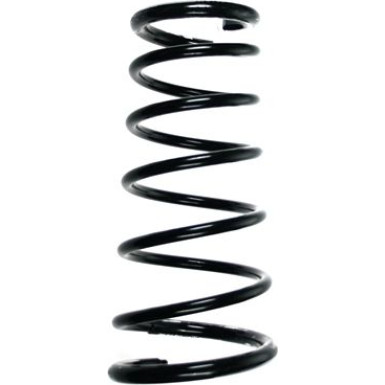 SPIDAN Fahrwerksfeder 48889