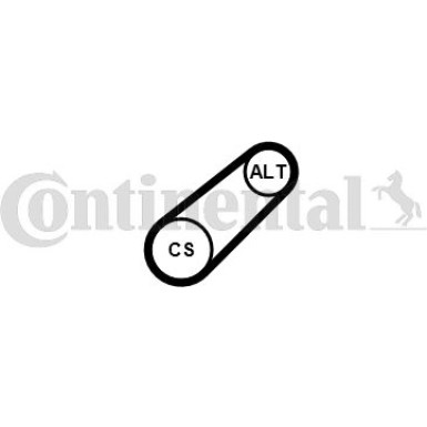 CONTINENTAL CTAM Keilrippenriemen 6PK799 ELAST