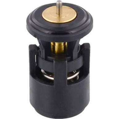Thermostat, Kühlmittel 100 616