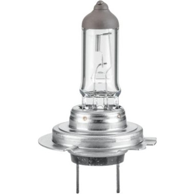 HELLA Glühlampe, Hauptscheinwerfer 8GH 217 337-101 HELLA Glühlampe, Hauptscheinwerfer 8GH 217 337-101