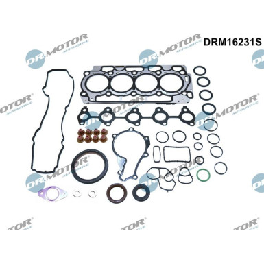 DICHTUNGSVOLLSATZ, MOTOR DRM16231S