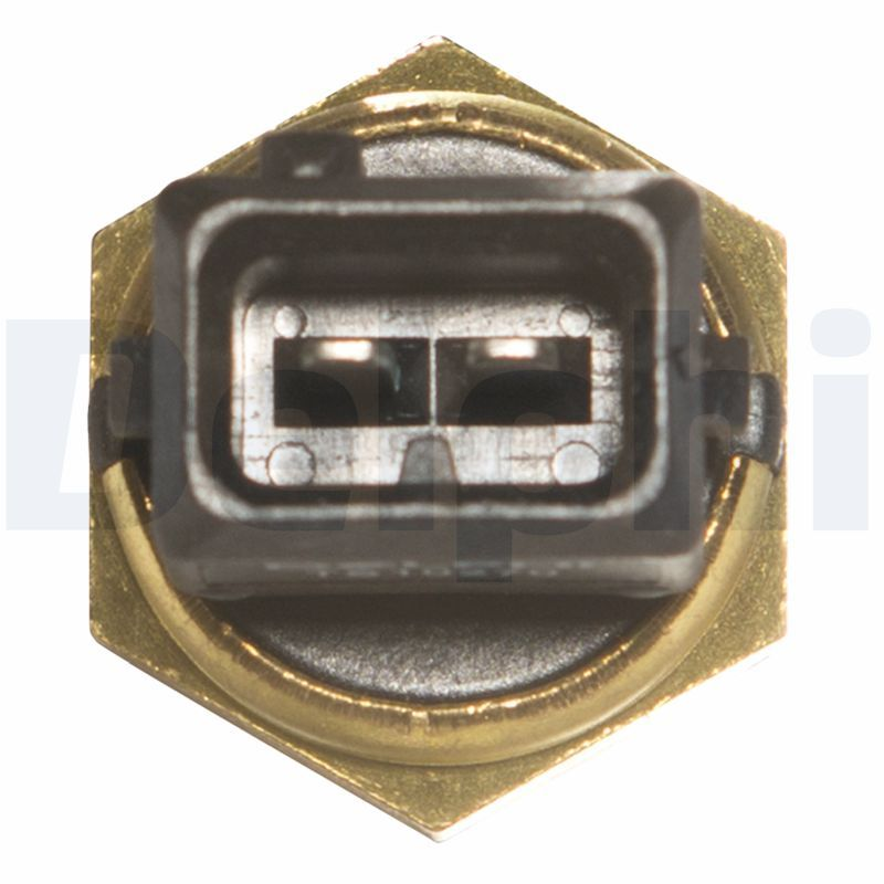 DELPHI Temperatursensor TS10270