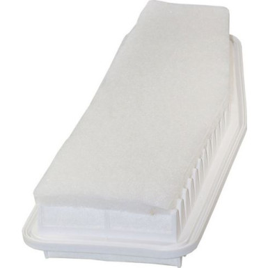 FILTRON Luftfilter AP 142/5