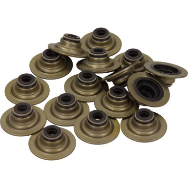 Dichtungssatz Ventilschaft LAND ROVER 12-34836-01