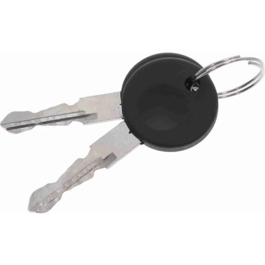 VAICO Türgriff V10-6145 VAICO Türgriff V10-6145