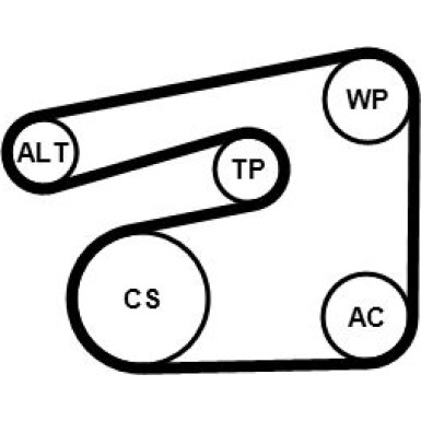 CONTINENTAL CTAM Keilrippenriemensatz 5PK1546K1