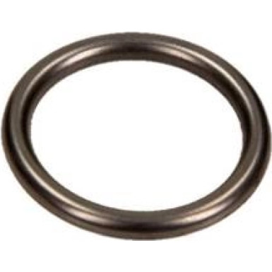 O-Ring 2430210081 O-Ring 2430210081