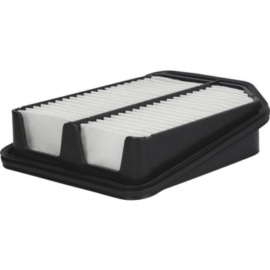 FILTRON Luftfilter AP 173/2
