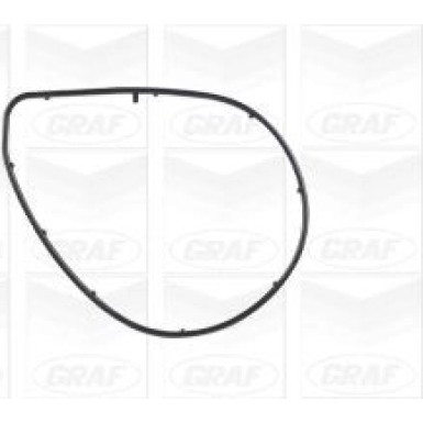 PA 1001 Wasserpumpe TOYOTA Auris,Avensis,Verso 05 PA1001
