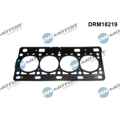 Dichtung, Zylinderkopf DRM18219
