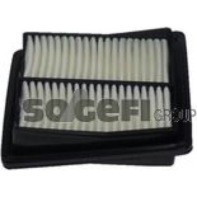 FRAM Luftfilter CA10233