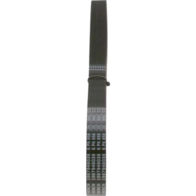 Keilrippenriemen FORD,VW,HONDA,CITROEN 1987946036 Keilrippenriemen FORD,VW,HONDA,CITROEN 1987946036