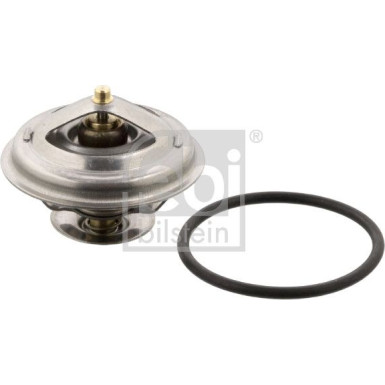 Thermostat, Kühlmittel 12191