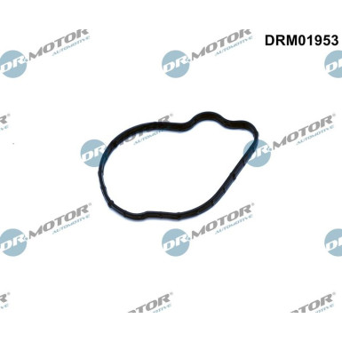 Dichtung, Einspritzpumpe DRM01953