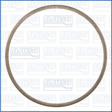 Dichtring, Abgasrohr 19009400