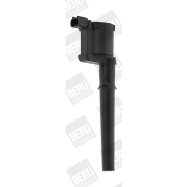 BorgWarner (BERU) Zündspule ZS369