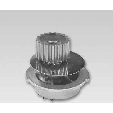 HEPU Wasserpumpe P793 HEPU Wasserpumpe P793