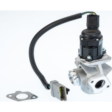 BorgWarner (Wahler) AGR-Ventil | 710936D/1