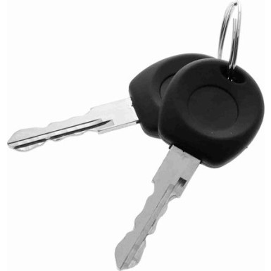 VAICO Türgriff V10-6167