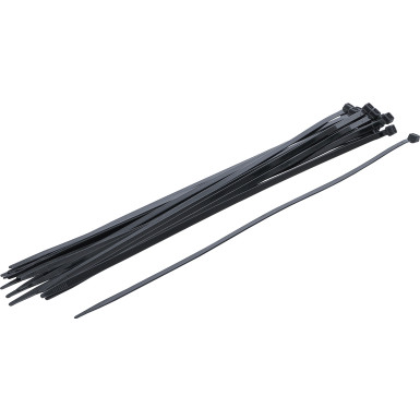 BGS Kabelbinder-Sortiment | schwarz | 7,6 x 500 mm | 20-tlg | 80879