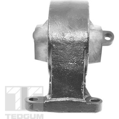 TEDGUM_TD Lagerung, Motor TED11987