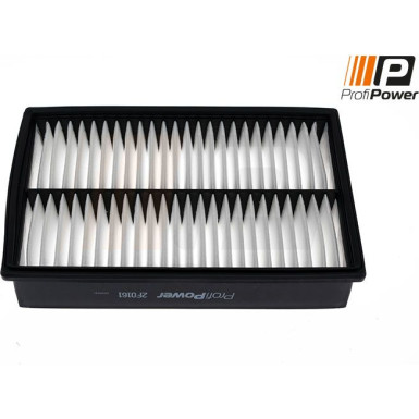 PROFIPOWER Luftfilter | 2F0161