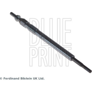 BluePrint Glühkerze BluePrint Glühkerze