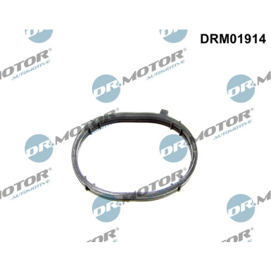 DR.MOTOR Dichtung, Ansaugkrümmer DRM01914