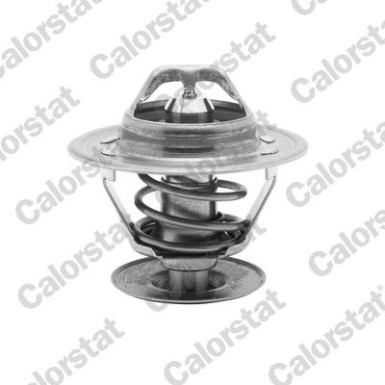 Thermostat, Kühlmittel | TH4561.87J