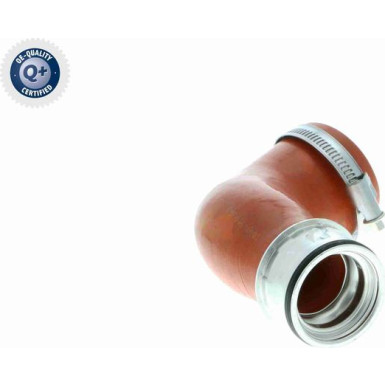 VAICO Ladeluftschlauch V10-2870