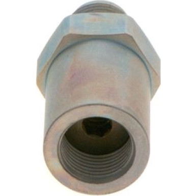 1 110 010 021 Druckbegrenzungsventil, Common-Rail-System