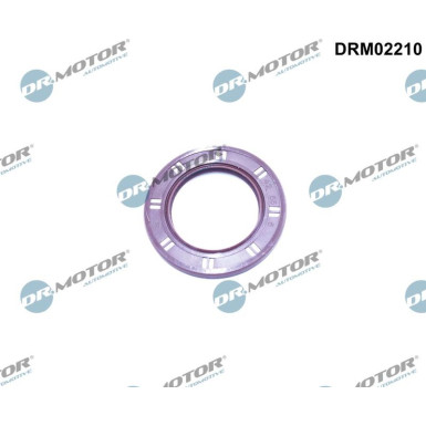 DRM02210 Wellendichtring, Kurbelwelle