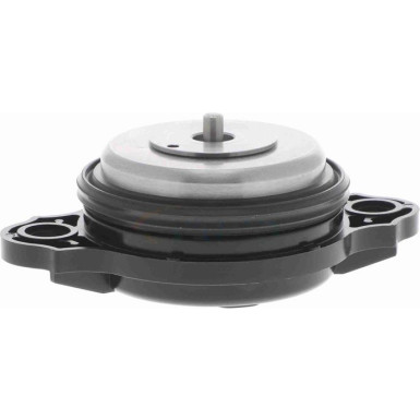 VAICO Zentralmagnet, Nockenwellenverstellung V20-3666