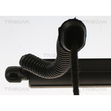 GASFEDER, KOFFER-/LADERAUM | 871011305