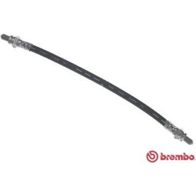 BREMBO Bremsschlauch | T 24 019