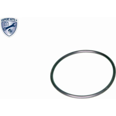 V10-0440 Hydraulikfilter, Automatikgetriebe EXPERT KITS +