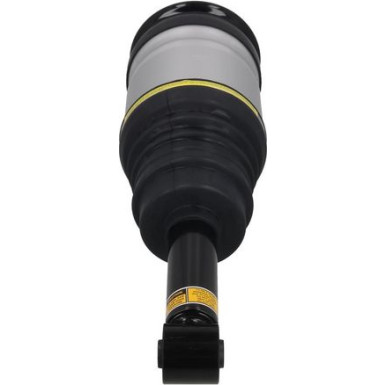 2070095 Luftfederbein 2070095 Luftfederbein