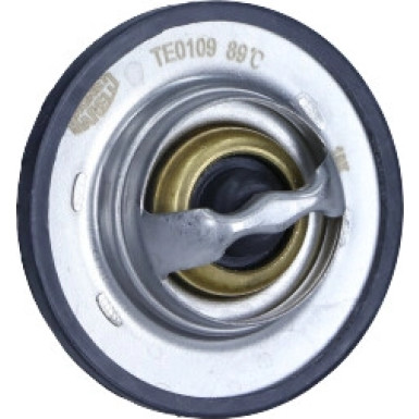 Thermostat, Kühlmittel | 352317101090