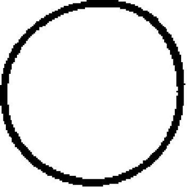 450561H Dichtung, Ansaugkrümmer