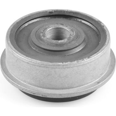 Lagerbuchse, Querlenker VW T. Golf Iii Syncro Abs/ Abv /1Z 1.8-2.9 91-98 4Wd | 00725908
