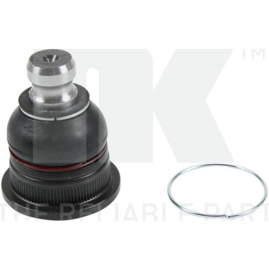 5043941 Trag-/Führungsgelenk