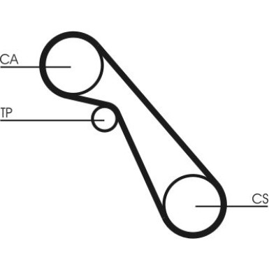 Continental CTAM Zahnriemen CT703
