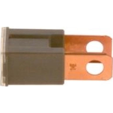 1 987 529 072 Sicherung