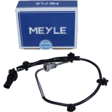 Sensor, Abgastemperatur | 6148000072