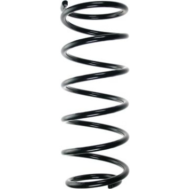 SPIDAN Fahrwerksfeder | 48905