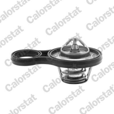 Thermostat, Kühlmittel | TH6843.91J