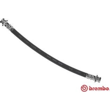 BREMBO Bremsschlauch | T 79 031