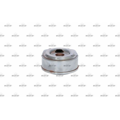 Ölkühler, Motor“L | 31248
